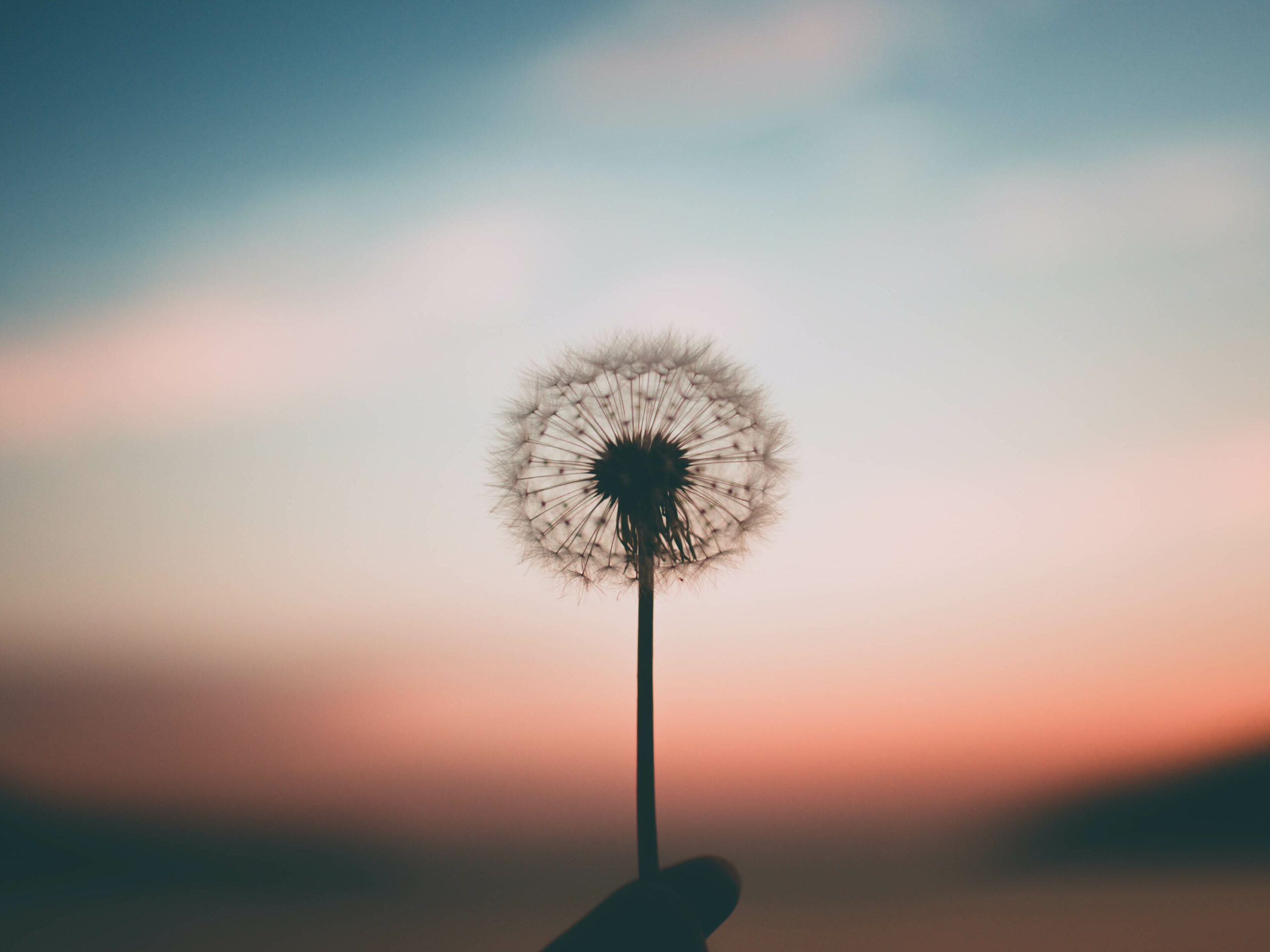 Mindfulness
